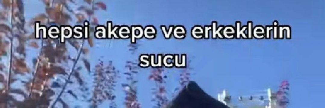 asivebebekssi's profile banner image