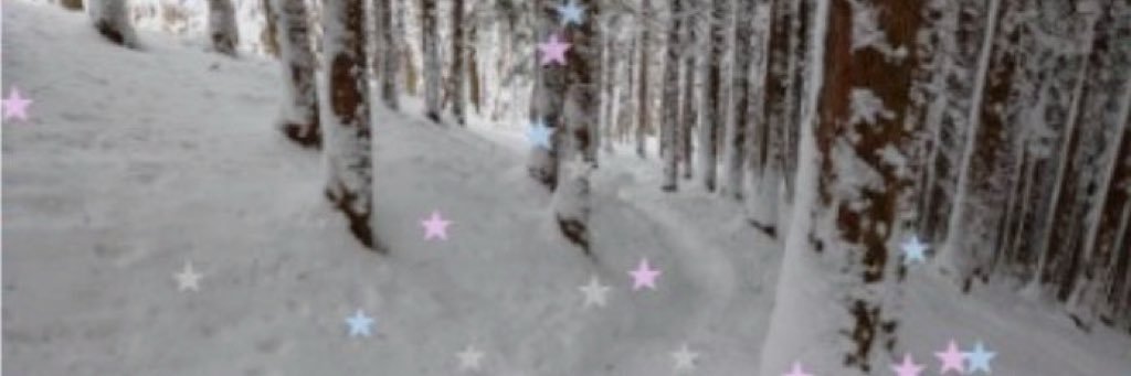 _unitq's profile banner image