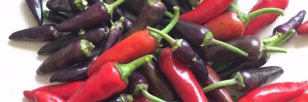 TPCookBookClub Profile Banner