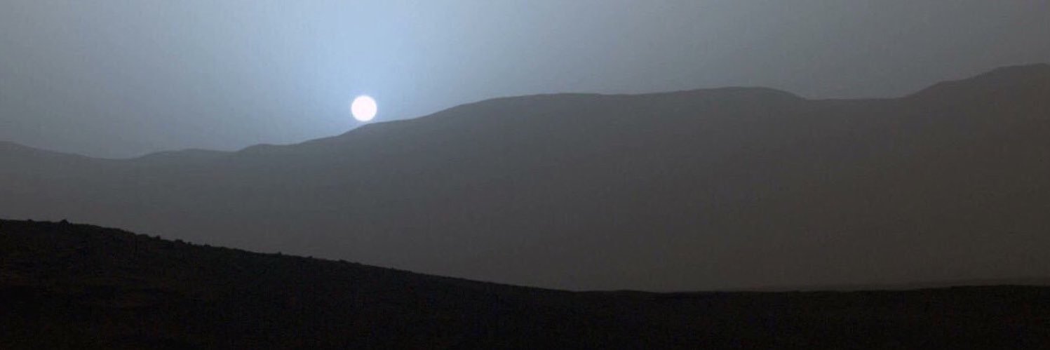 thedohappydad's profile banner image