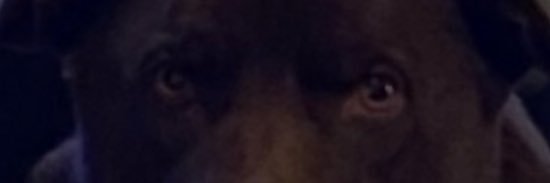 dwebs17's profile banner image