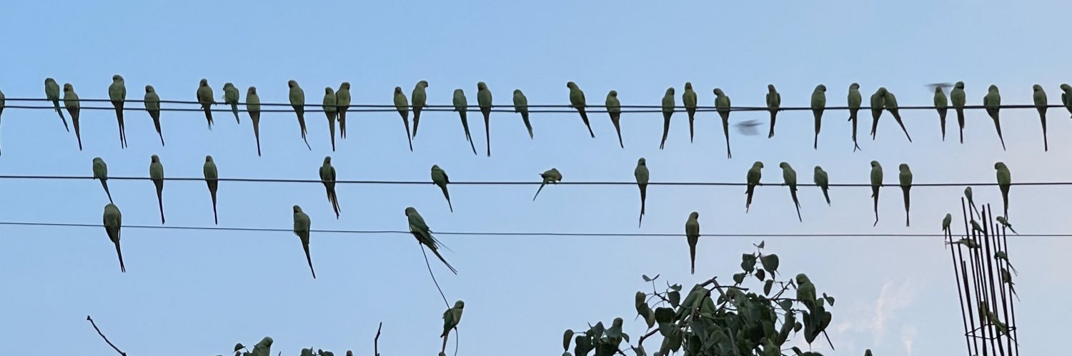 mayankluv70's profile banner image
