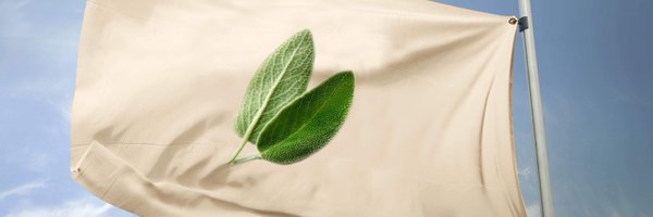 AlaaJDiab Profile Banner