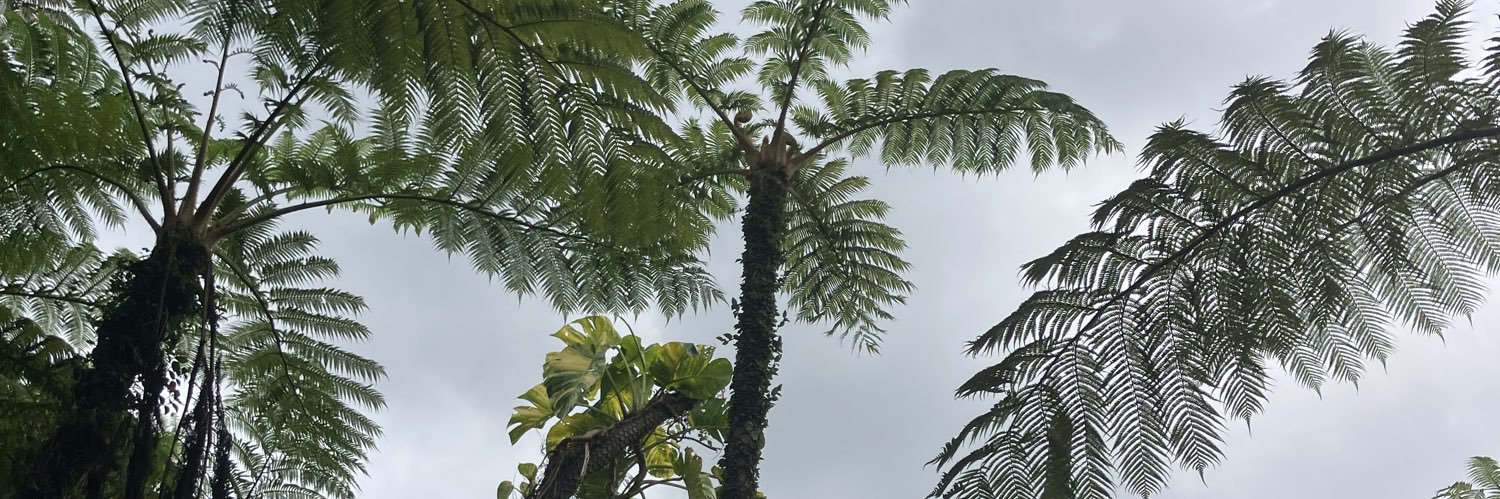 だみょーん@性格悪め banner