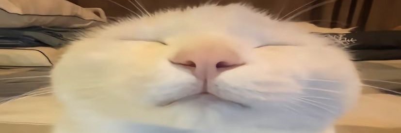 oshkq's profile banner image
