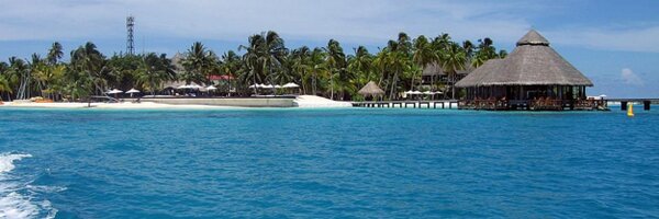 Badbams Profile Banner