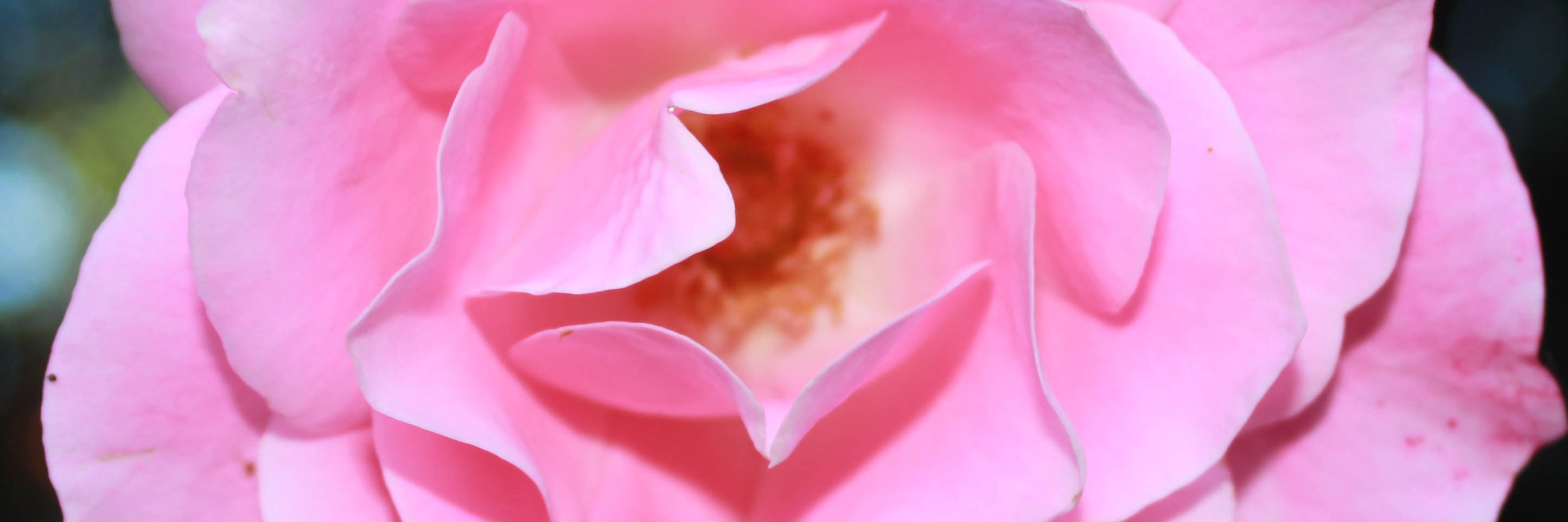 TWIZZTYER's profile banner image