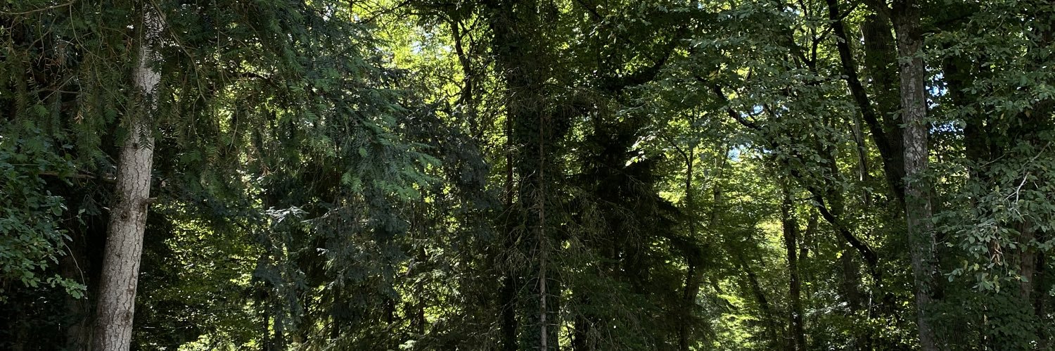 felipeoa6's profile banner image