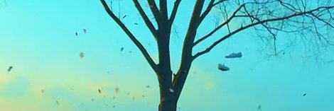 LiLy0701's profile banner image