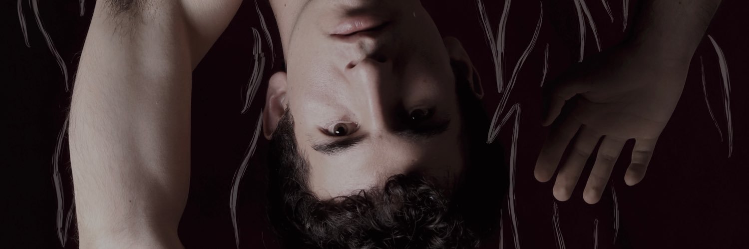 LavaniegosPablo's profile banner image