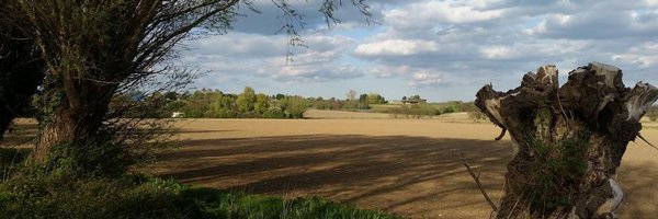 clairbell_ Profile Banner