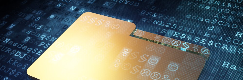 PPP Management banner