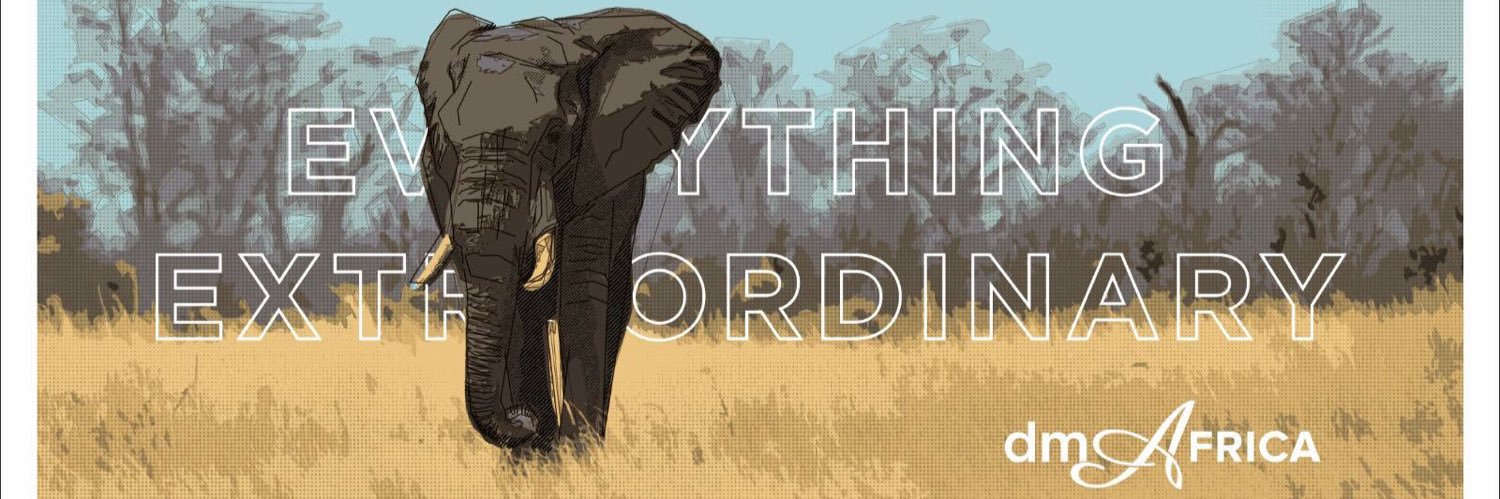 dmAFRICA's profile banner image
