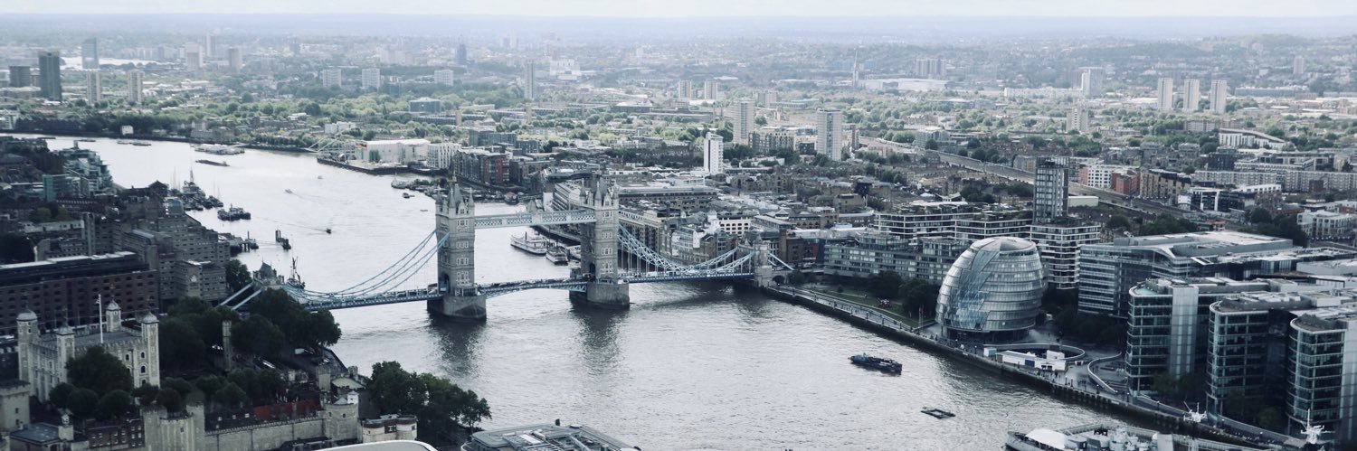 reggiel borgonia banner