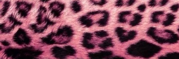 siinnrs's profile banner image
