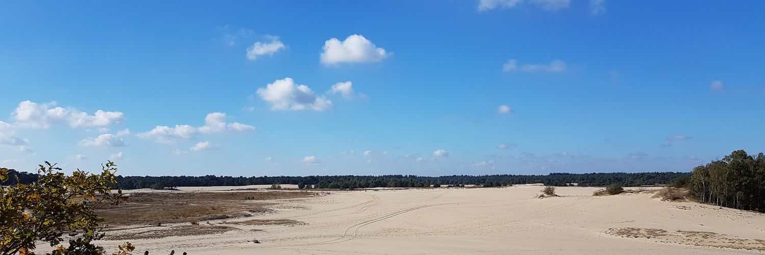 ToineHultermans's profile banner image