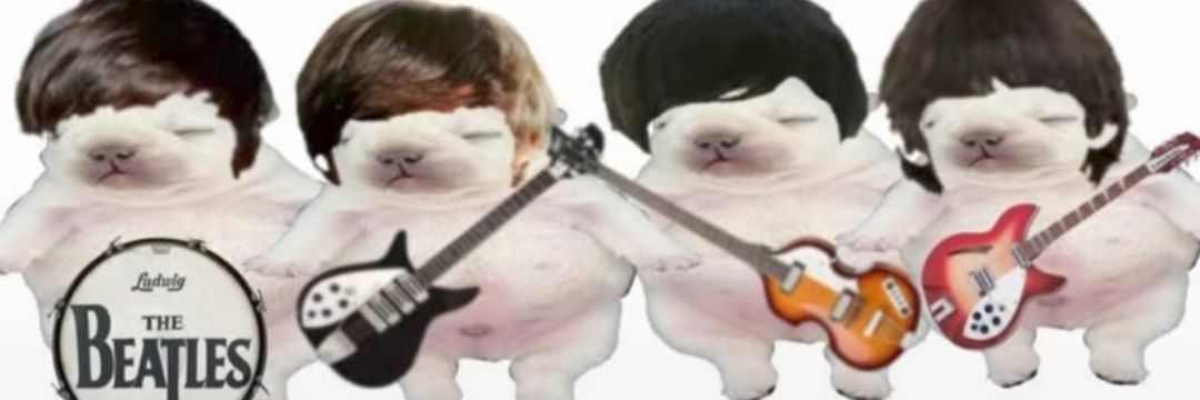 Bayern Perú 🍻🦜 banner