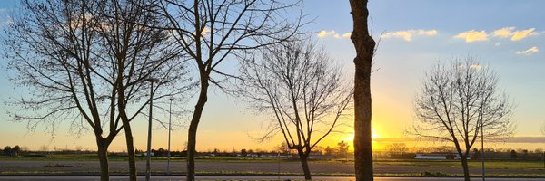 silvakid Profile Banner