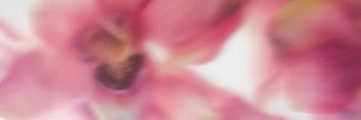 wonmyoug's profile banner image