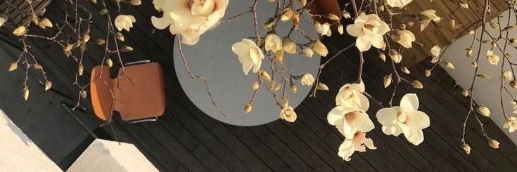 ✮⋆˙ 𝐚𝐫𝐢𝐧 banner