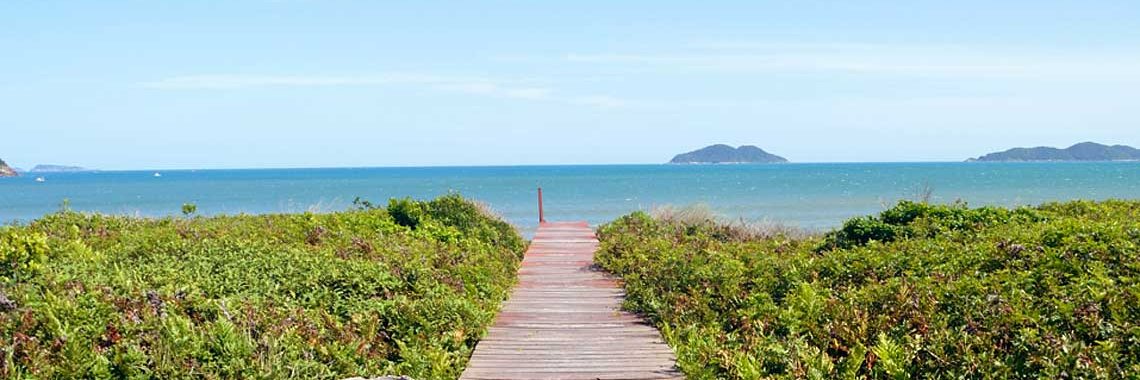 Melissa Paola Mezzari, Ph.D. banner