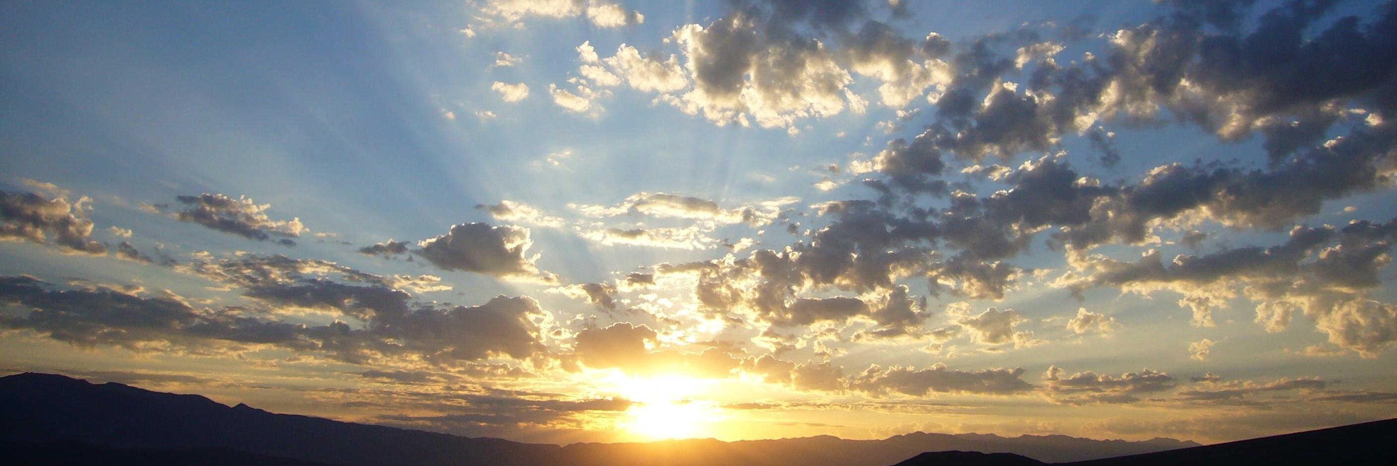 Mirjam Hecking banner