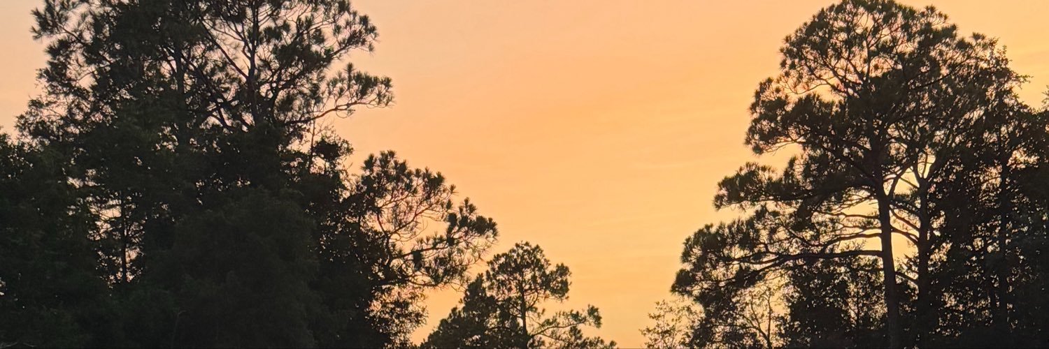 thathotginger13's profile banner image
