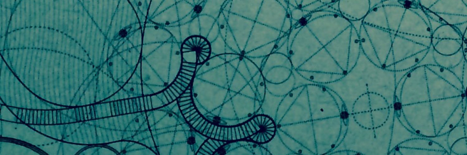 DHernandez044's profile banner image