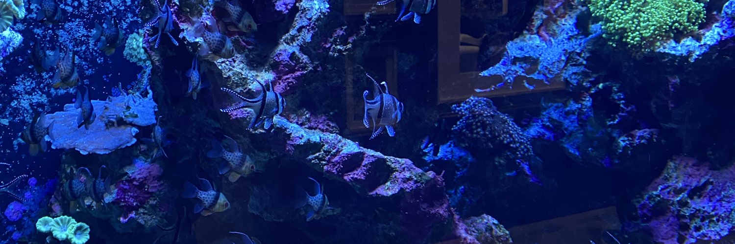 T&kun👻💤 banner