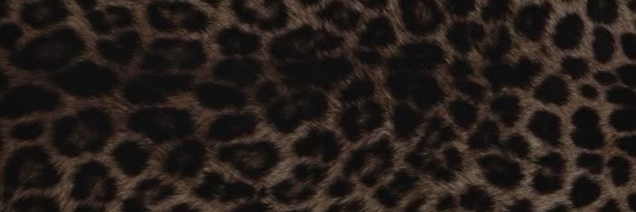 Vahntze's profile banner image