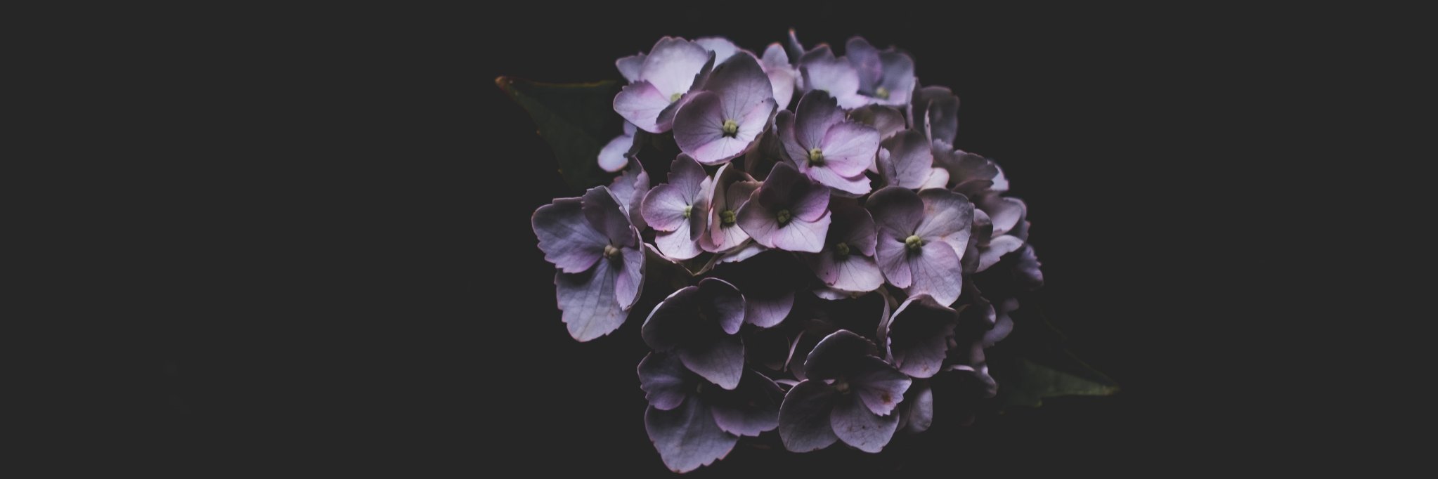 berkerboyd's profile banner image