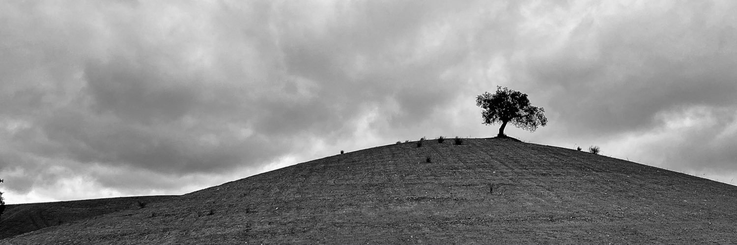 Miguel Ángel Rincón banner