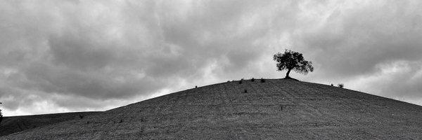 mrinconp Profile Banner