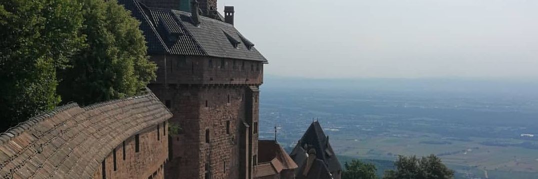 Javier Bonilla banner