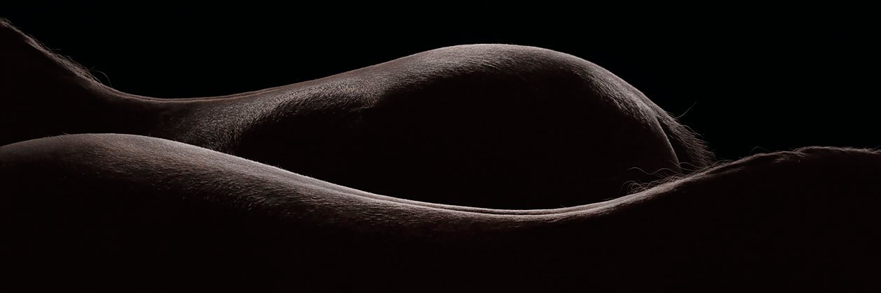 FEDERAPES's profile banner image