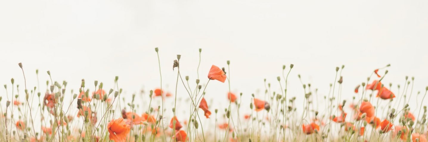 V banner