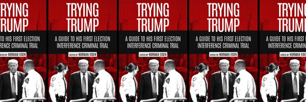 Norm Eisen (#TryingTrump out now!) Profile Banner