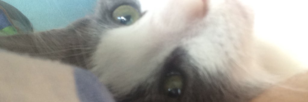 tavber_'s profile banner image