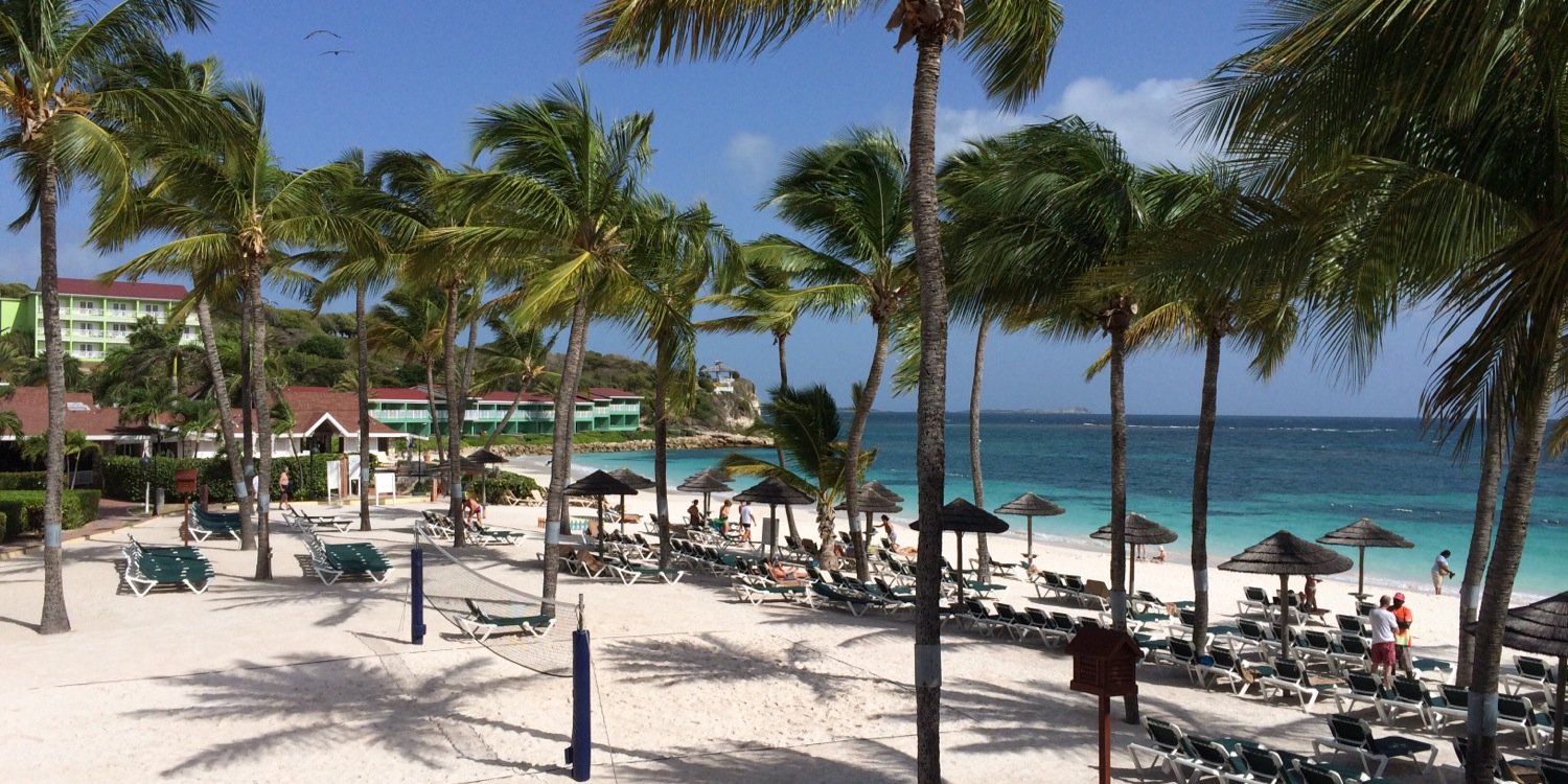 Robert Harrison banner