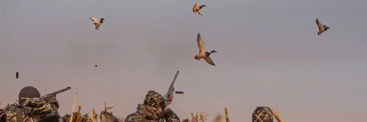 Goose “ let ‘em fly” McGee banner