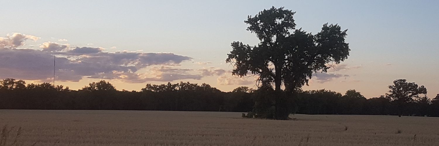 MattYunik's profile banner image