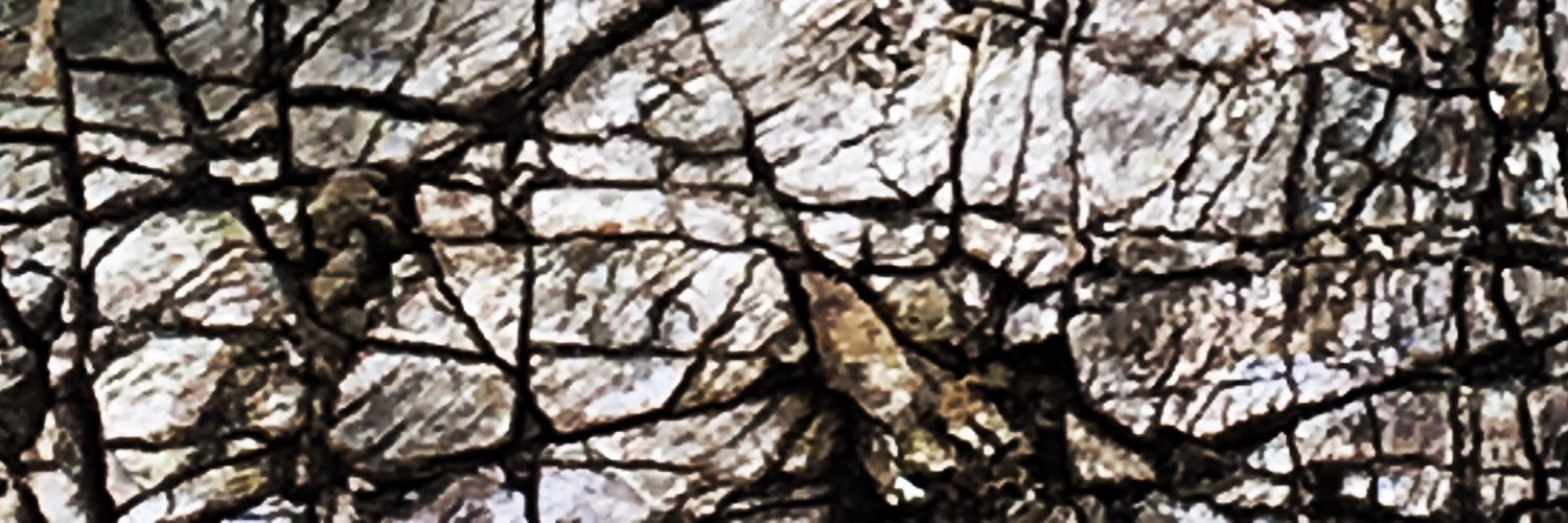 Twitter banner for @bailed