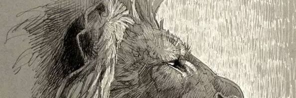 gdanielmp's profile banner image