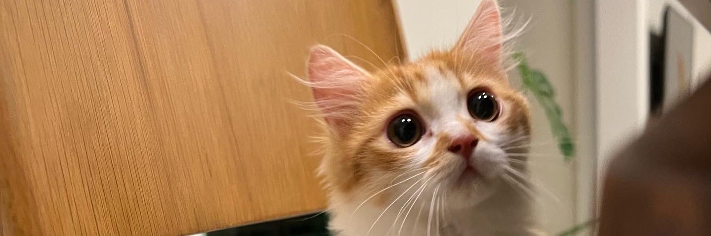 jidakaew's profile banner image