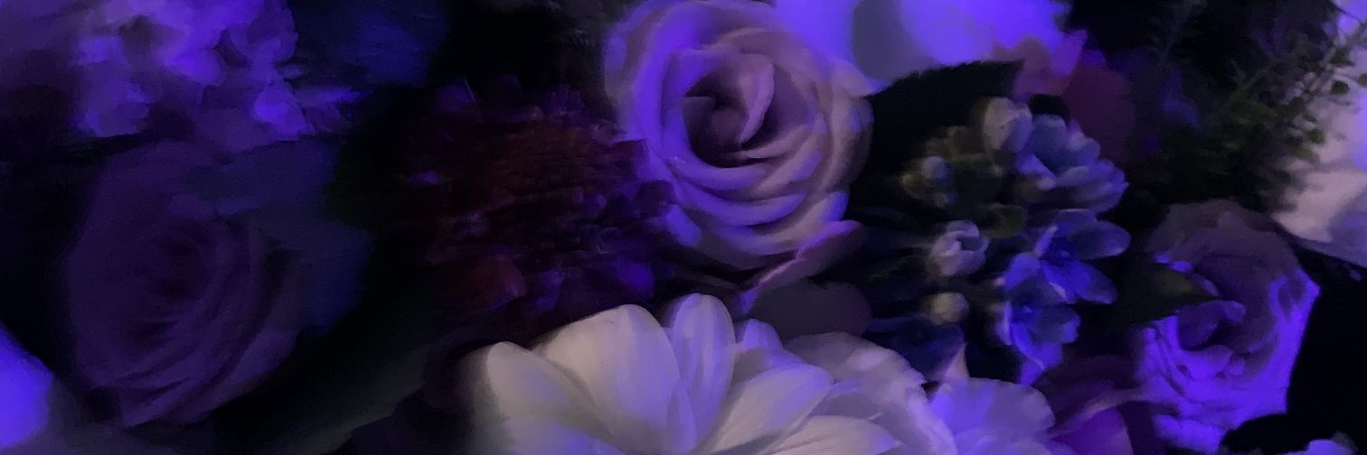 白鱼🦑 banner