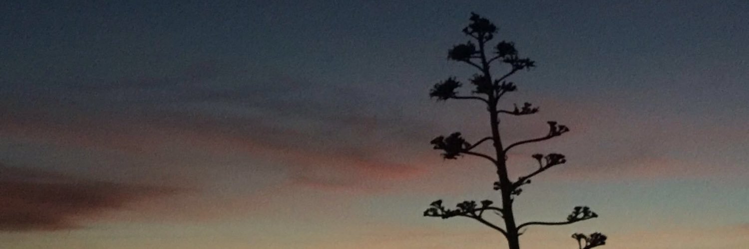 Nuriabernal's profile banner image