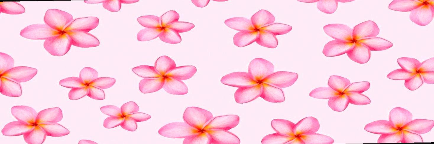 ptiboucan13's profile banner image