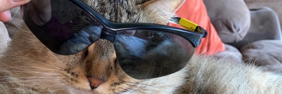 BackBrody's profile banner image