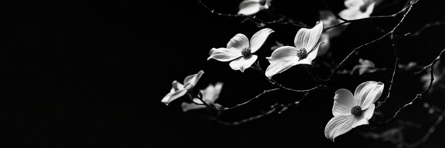Gianna Auer banner