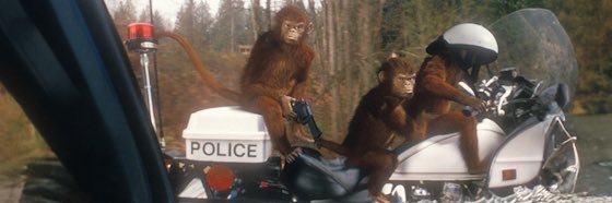 Russel Van Pelt banner